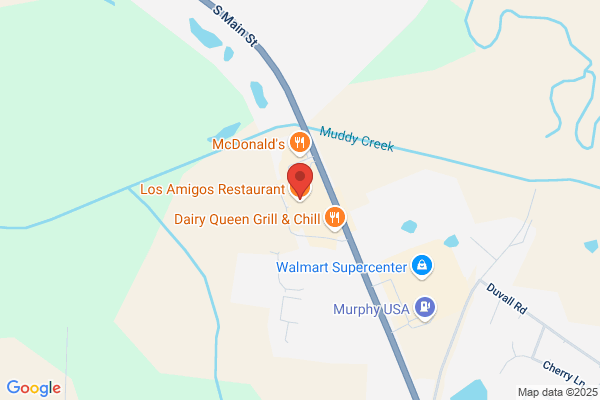 Check Advance
