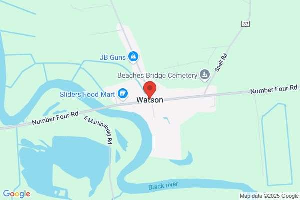 Watson Town of, Town Clerk