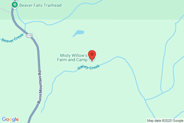 Misty Willow's Farm and Camp