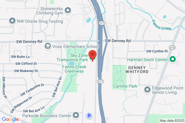 Sky Zone Trampoline Park