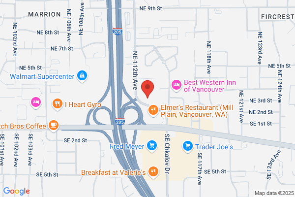 Abhiruchi South & North Indian Cuisine