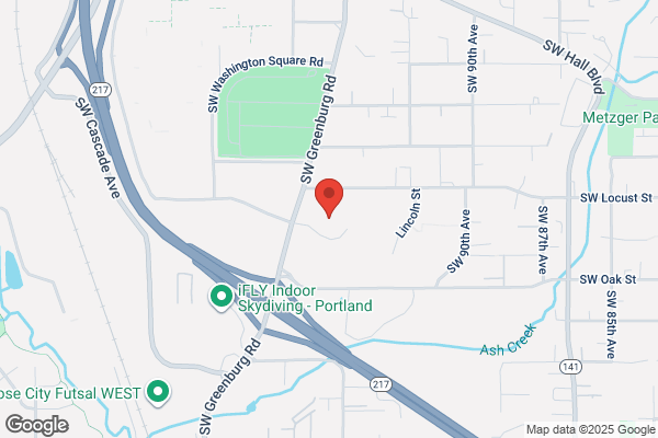 Protocom Systems Inc