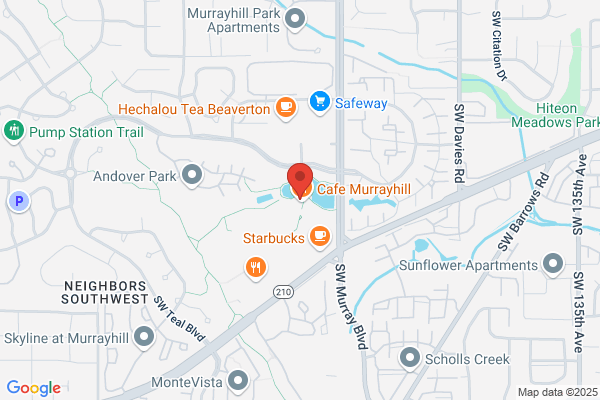 Murrayhill Pediatric Dentistry