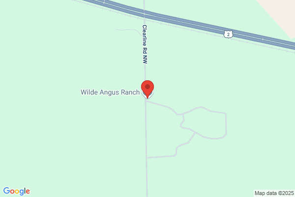 Wilde Angus Farms