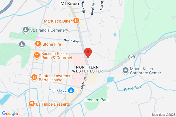 Mt Kisco Tax & Monetary Services Group Inc