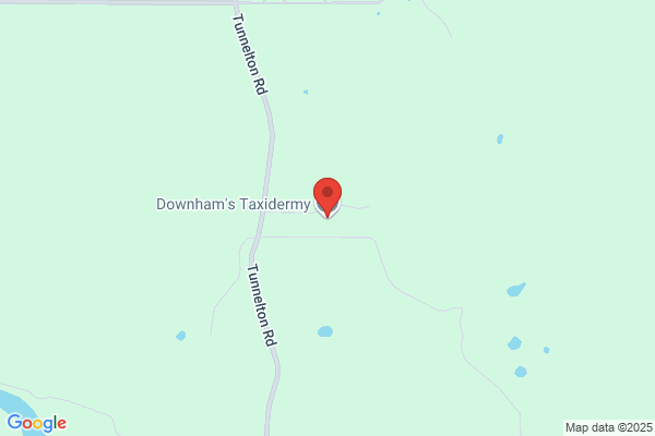 Downhams Taxidermy