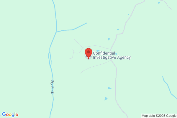 Confidential Investigative Agency, LLC