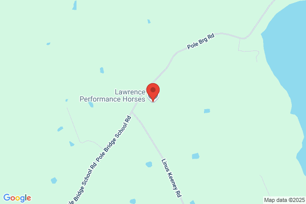 Performance Equine Therapy