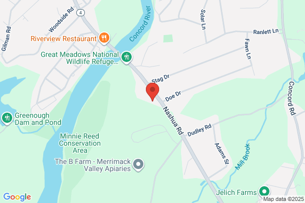 Paula J. Ericsson, CPA