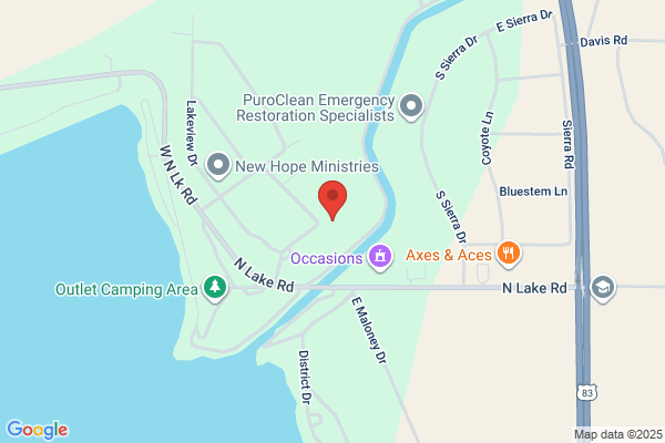 A1 Chimney & Tree Services