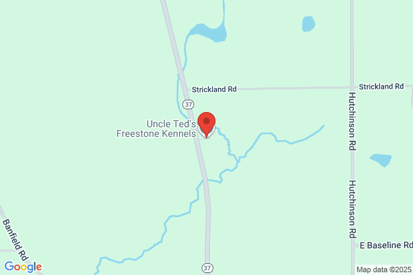 Freestone Kennels