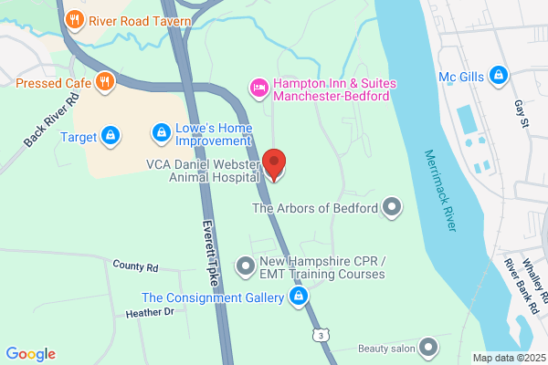 VCA Daniel Webster Animal Hospital