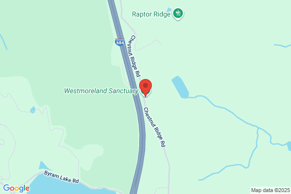 Westmoreland Sanctuary