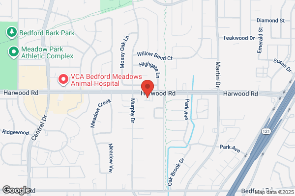 AA Academy Foot & Ankle Specialists