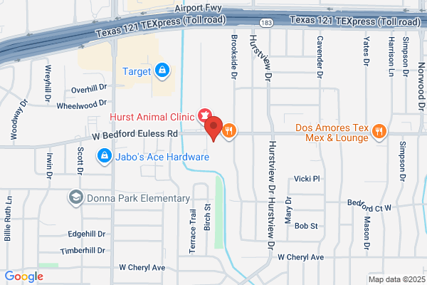 Dental Direction Services Llc