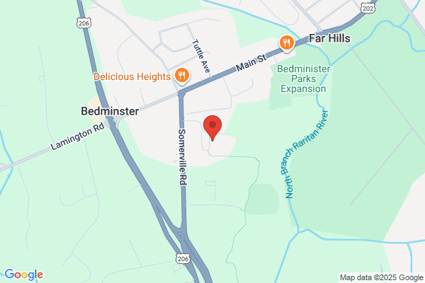 Bedminster Township, Public School