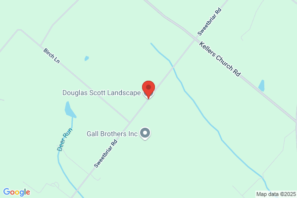 Douglas Scott Landscape
