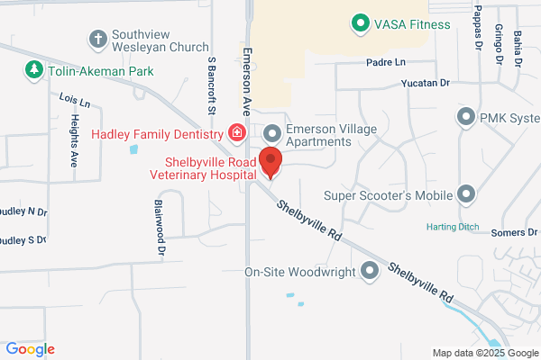 Shelbyville Road Veterinary Hospital