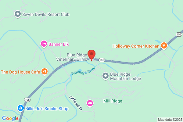 Blue Ridge Veterinary Clinic