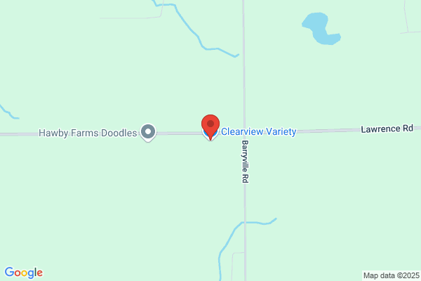 Clearview Variety Inc
