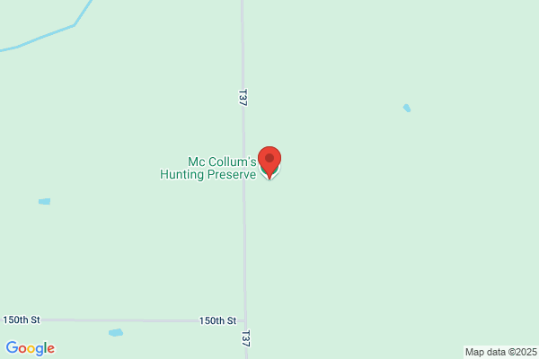 McCollum's Hunting Preserve