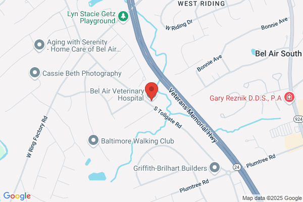 Abingdon Veterinary Clinic