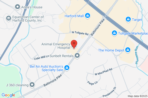 Animal Emergency Hospital