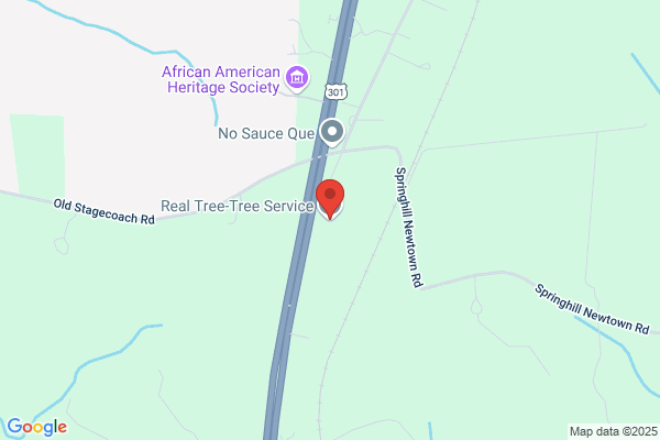 Real Tree-Tree Service