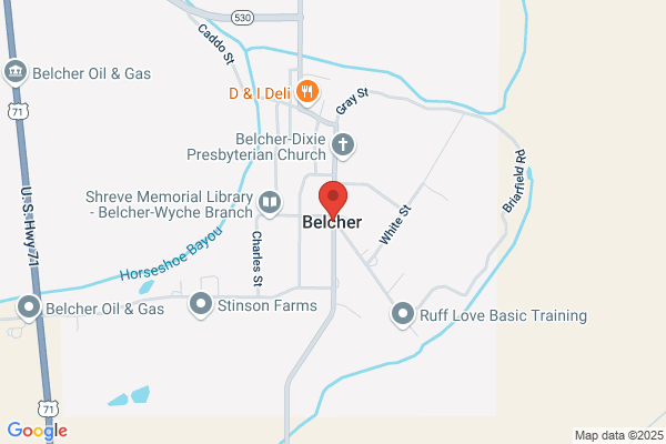 Belk Rental Property