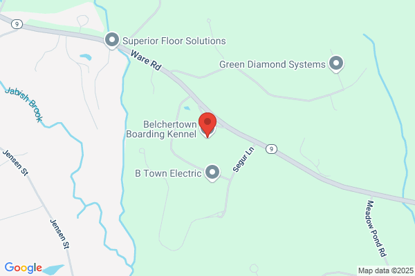 Belchertown Boarding Kennels