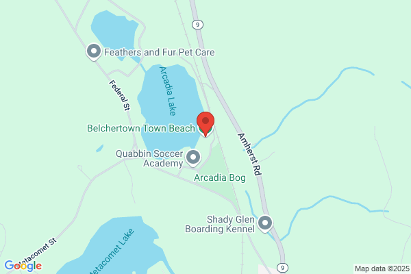 Belchertown Beach