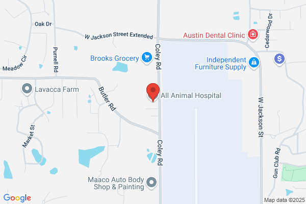 All Animal Hospital of Tupelo