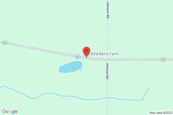 Bird Berry Farm