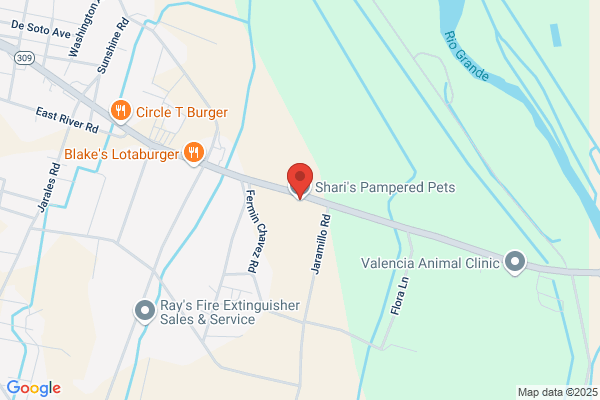 Sharis Pampered Pets