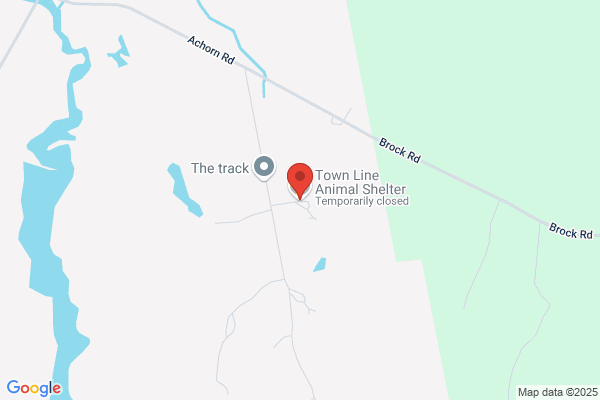 Town Line Animal Shelter