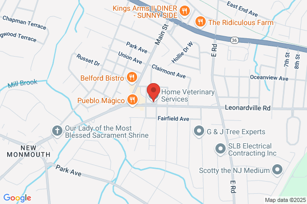 Home Veterinary Service