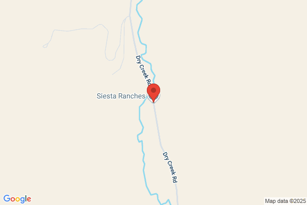Siesta Ranches Inc