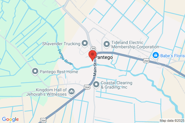 Pantego Town of, Non Fire Calls