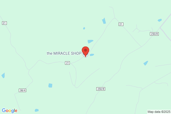The MIRACLE Shop