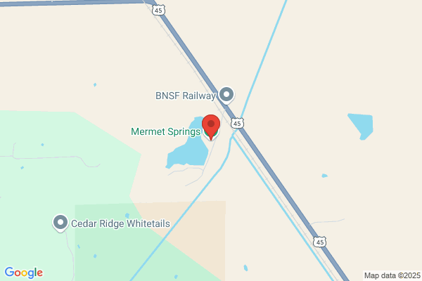 Mermet Springs Inc