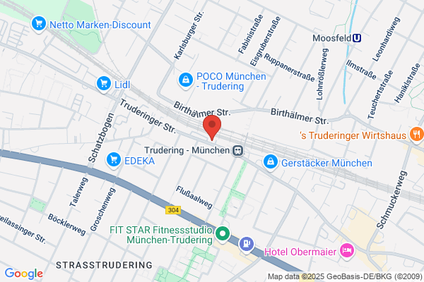 Transaction Software Inc