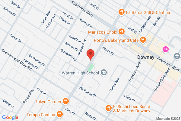 Downey Therapeutic