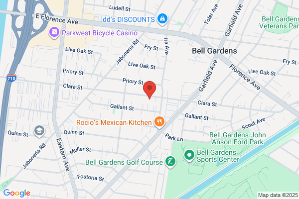 Sas Systems Inc