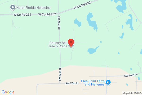 Trenton Tree Service