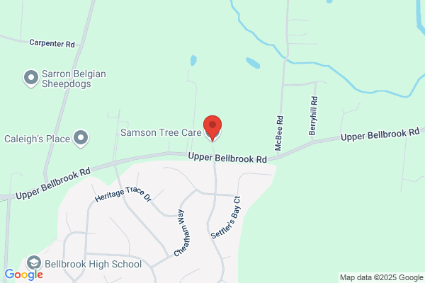 Samson Tree Care