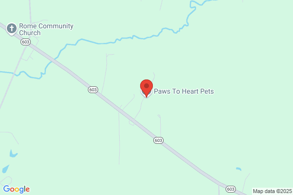 Heart Strong Puppies