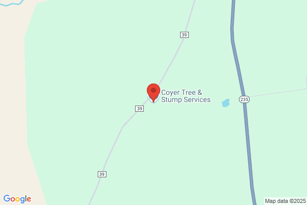Coyer Tree & Stump Service