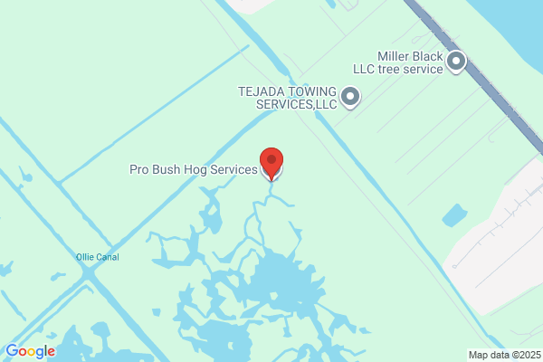 D & D Bushhog Services