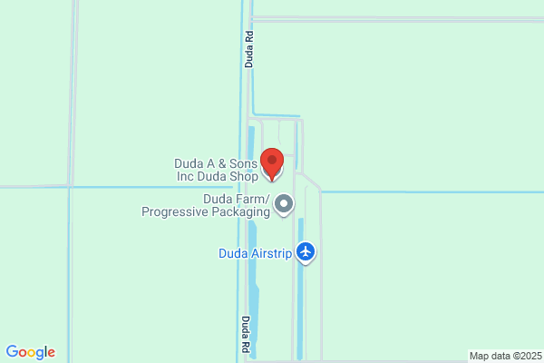 Duda A and Sons Inc