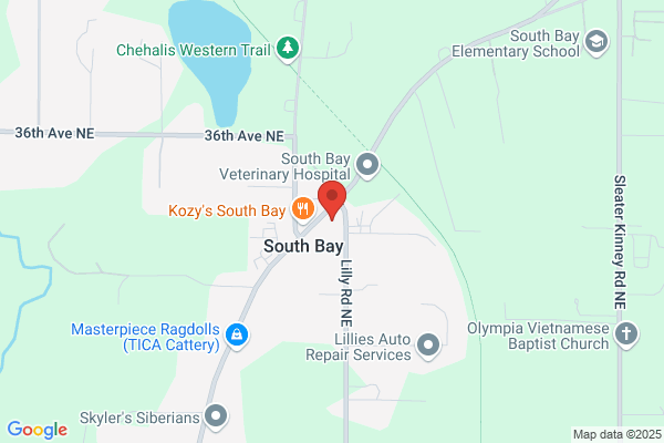 South Bay Chevron